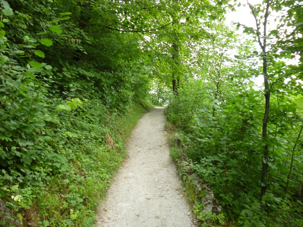 Cestička k Šipce 