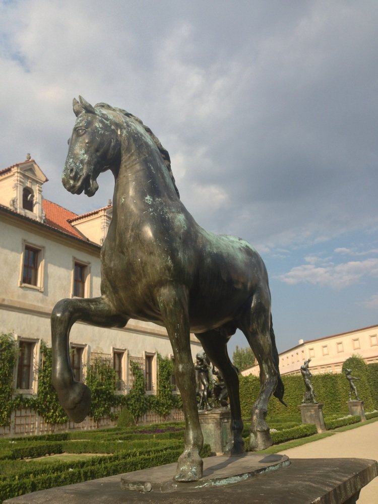 Kráčející kůň
